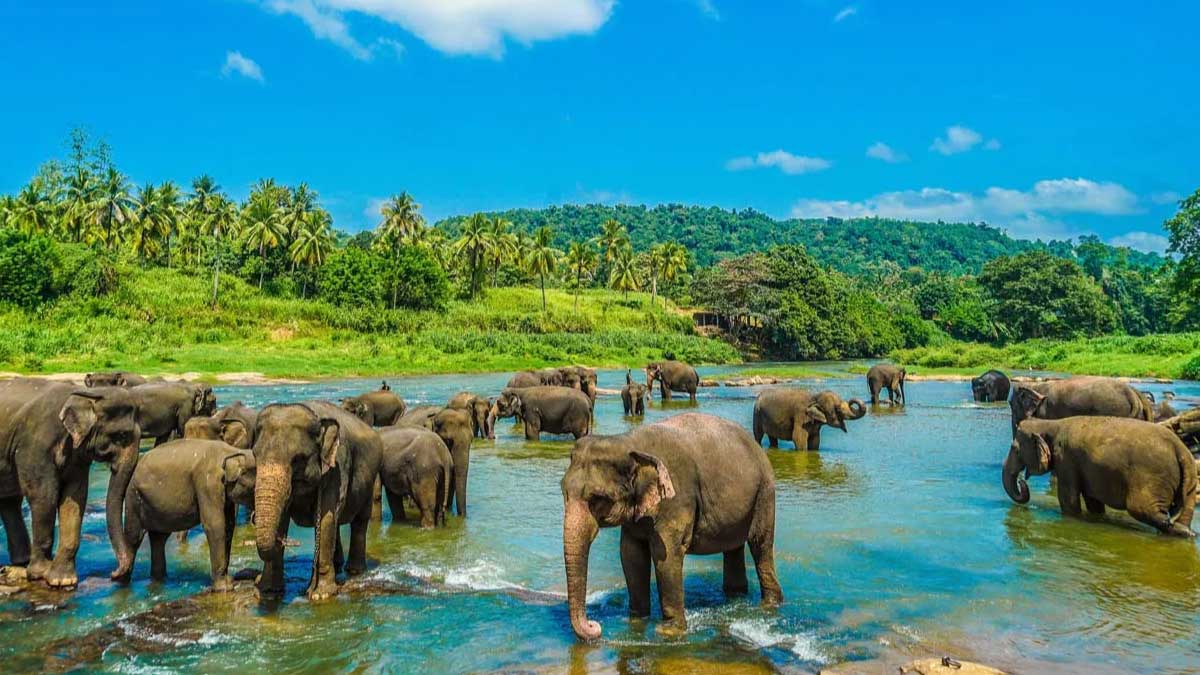 Sri Lanka