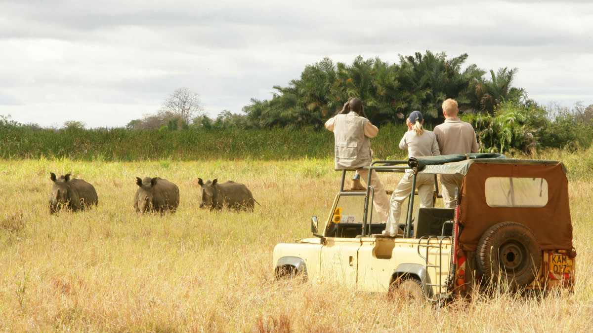 Holidays in Kenya
